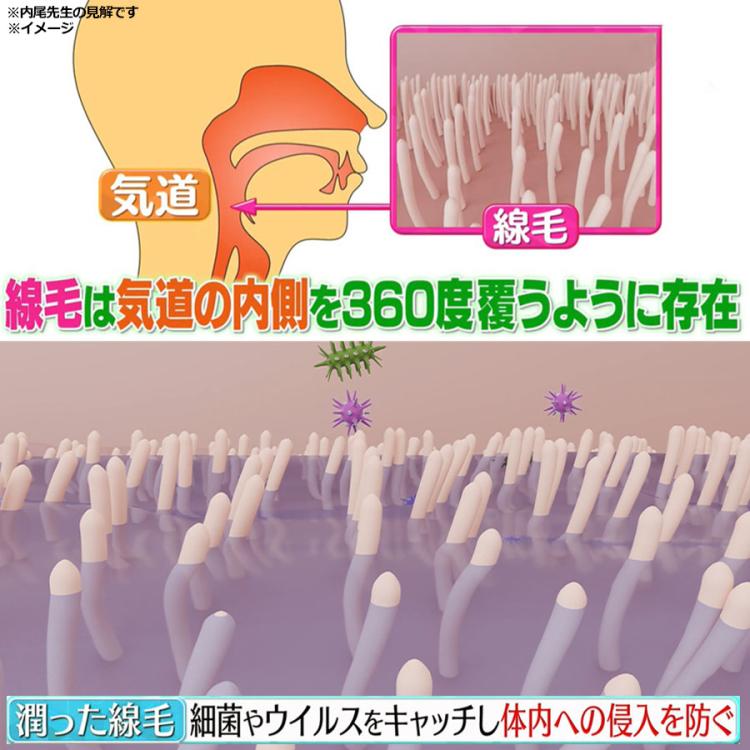 管理医療機器＞メディサナ 家庭用超音波吸入器／IN 525／1個