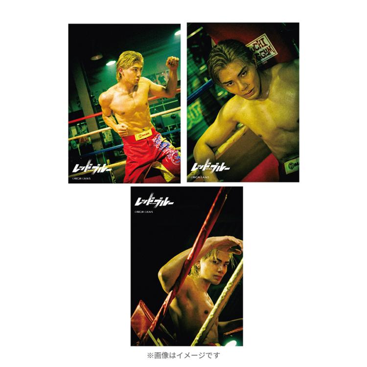 レッドブルー／ランダム ブロマイド(全22種) | TBSショッピング