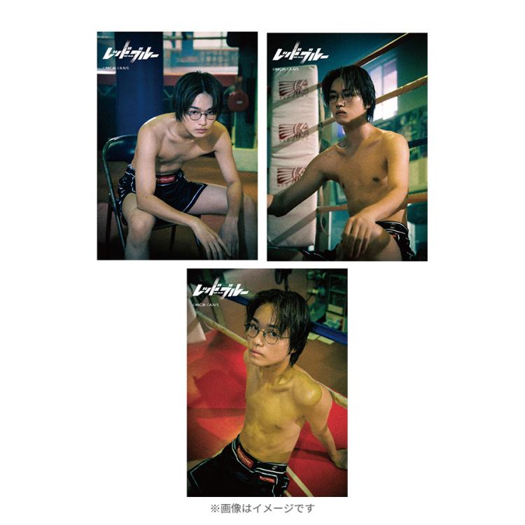 レッドブルー／ランダム ブロマイド(全22種) | TBSショッピング