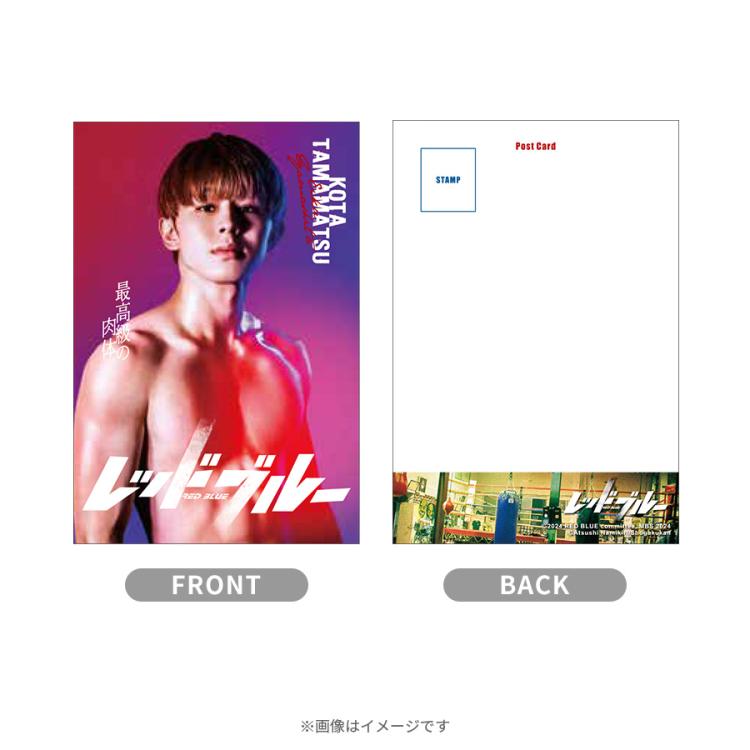レッドブルー／ポストカードセット | TBSショッピング