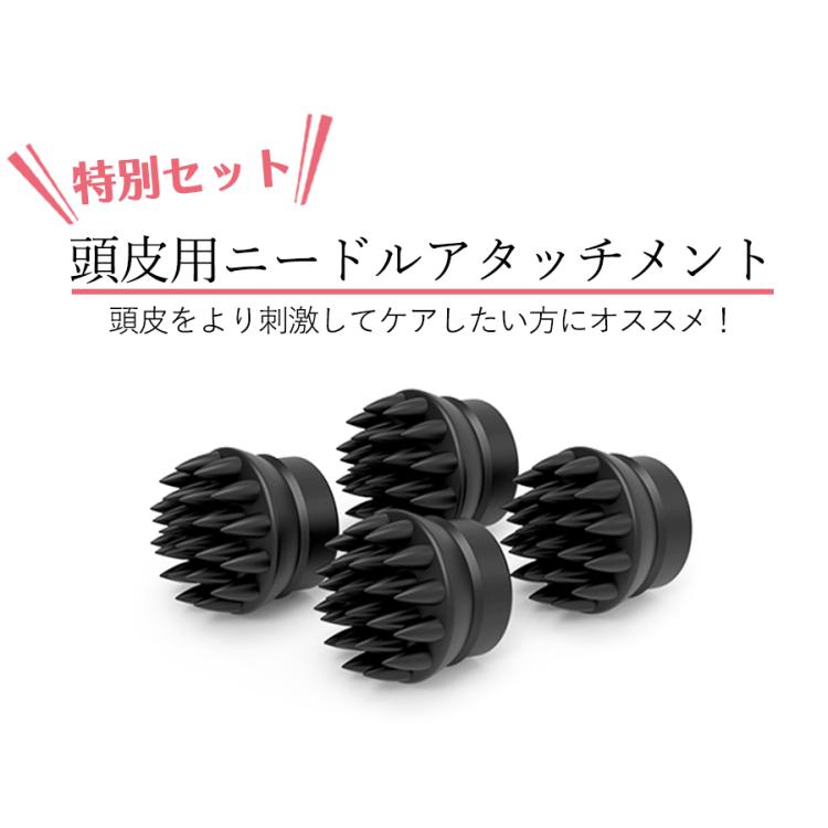 NIPLUX（ニップラックス） EMS ヘッドスパ 特別セット | TBS