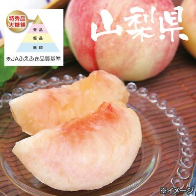 山梨の桃 大糖領/2.5kg×2 計5kg (14-18玉) 山梨の桃 大糖領/2.5kg×2 計5kg (14-18玉)