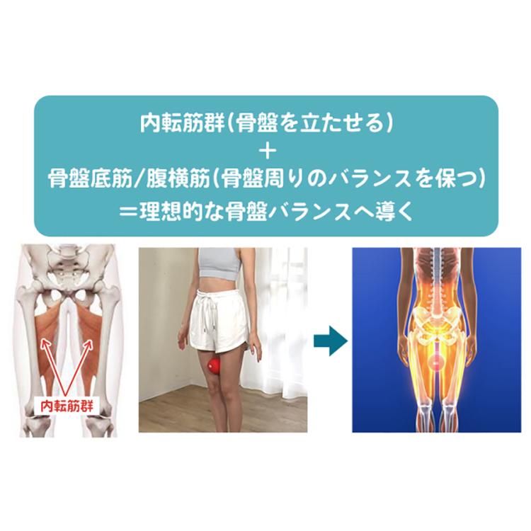 今 お得！】シェイプツインボール／振動マシン（5段階調整
