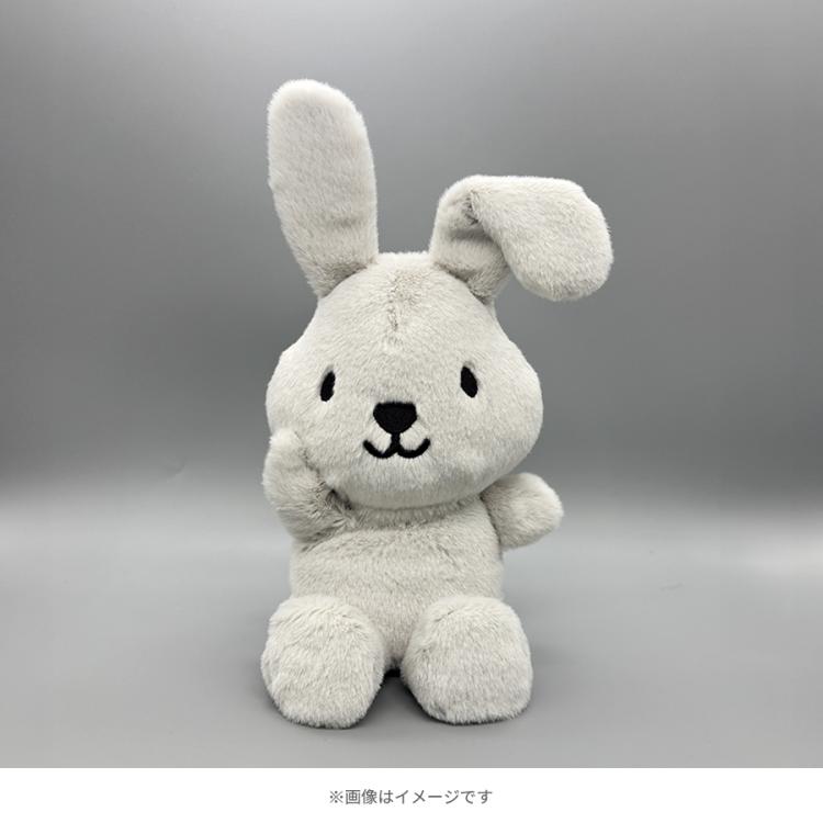ラヴィット！／ビーンドール (ラッピー&ガガンモセット