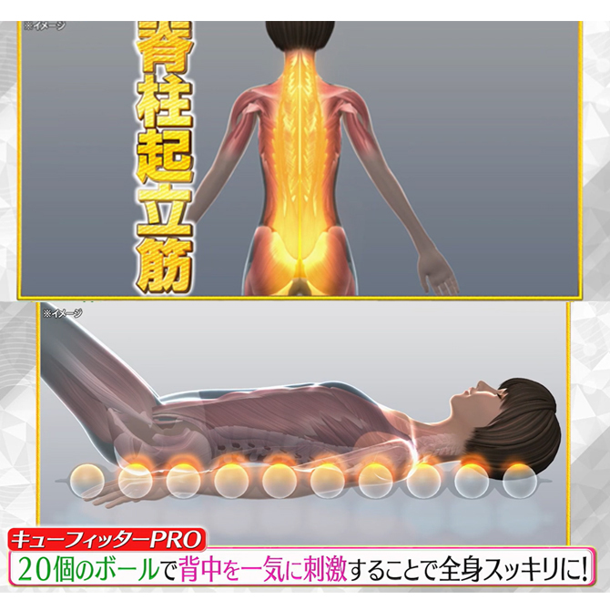 内蔵された20個のボールが背骨を避け
脊柱起立筋をピンポイントに刺激