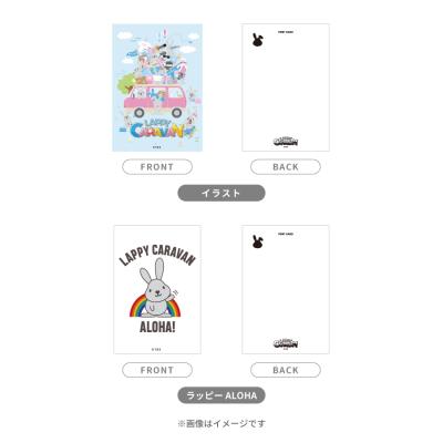 横山やすしvs(と)西川きよし 【モーレツ漫才コンビの全記憶】／DVD-BOX