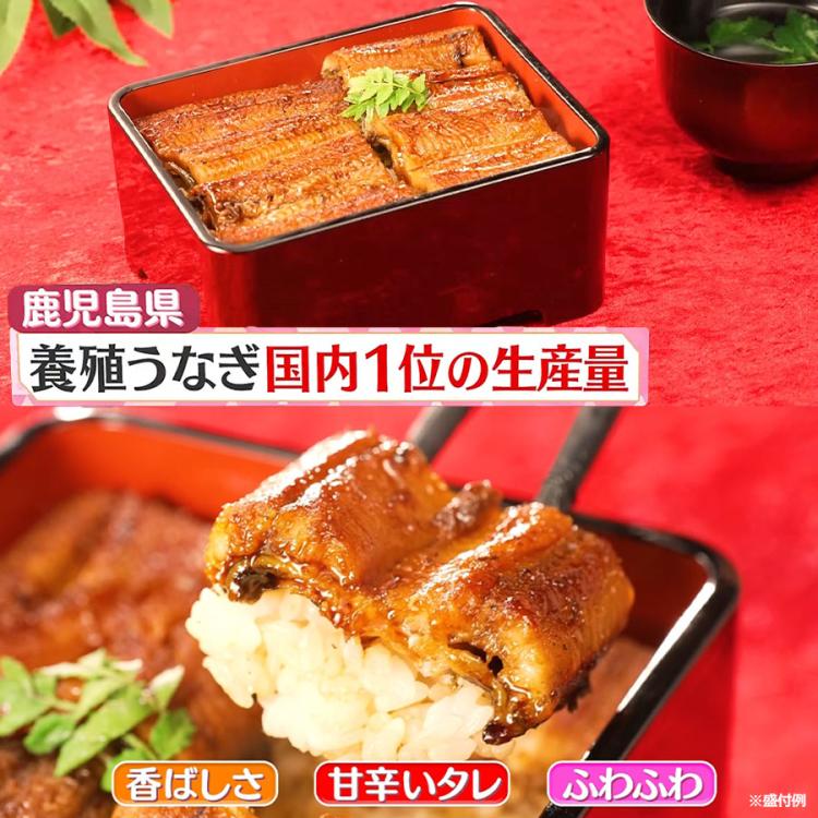 鹿児島県産 お徳用うなぎ蒲焼き/計400g | TBSショッピング 鹿児島県産 お徳用うなぎ蒲焼き/計400g | TBSショッピング