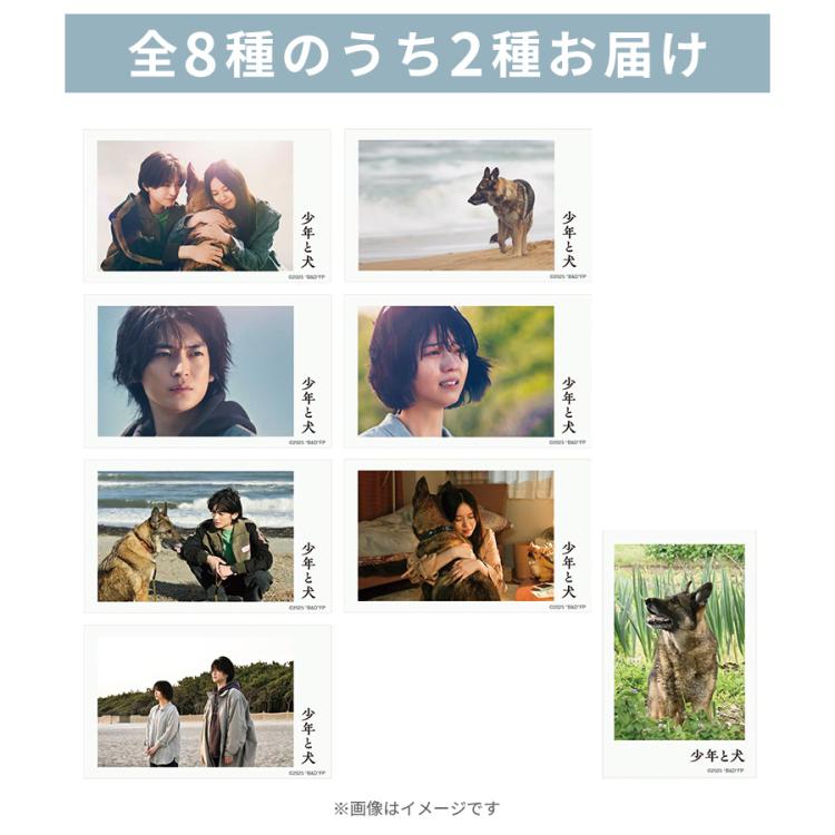 美少年セット 佐藤龍我 ACEesエイシーズ 美少年 公式まとめ売り