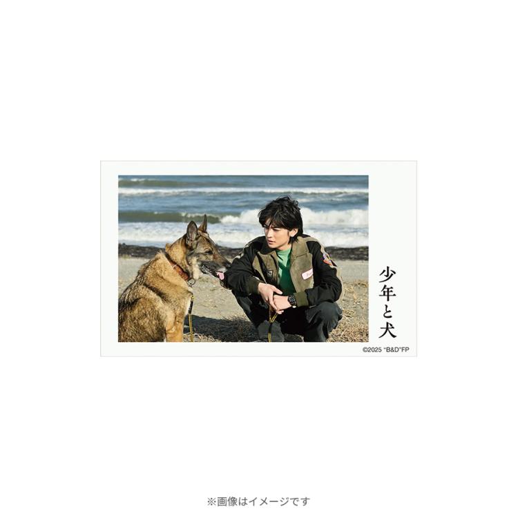 映画『少年と犬』／トレーディング場面写真ミニブロマイドセット