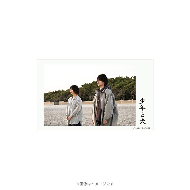 映画『少年と犬』／トレーディング場面写真ミニブロマイドセット