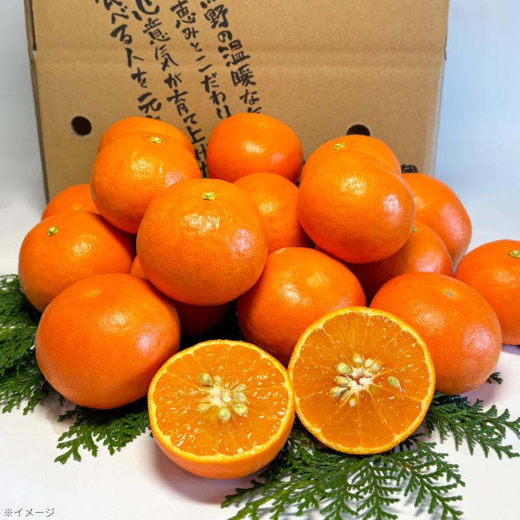 Amazon | 荒畑園 静岡深蒸し茶 大地の詩 特選荒茶旬 100g×4袋