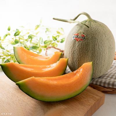 【共撰品】夕張メロン(優品)/1.5kg×1玉 【共撰品】夕張メロン(優品)/1.5kg×1玉