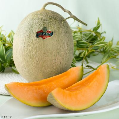 【共撰品】夕張メロン(良品)/1.3kg×2玉 計2.6kg 【共撰品】夕張メロン(良品)/1.3kg×2玉 計2.6kg