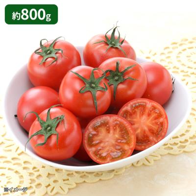 北海道産フルーツトマト はるかエイト/約800g(8-18個) 北海道産フルーツトマト はるかエイト/約800g(8-18個)