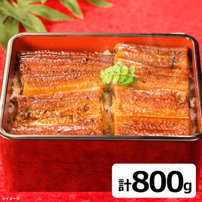 鹿児島県産 お徳用うなぎ蒲焼き/100g×8パック 計800g/タレ・山椒付き 鹿児島県産 お徳用うなぎ蒲焼き/100g×8パック 計800g/タレ・山椒付き