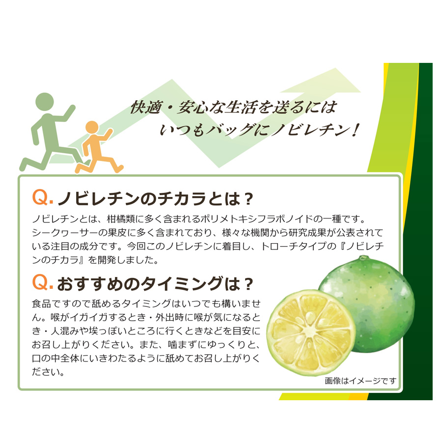 おすすめの摂取タイミング