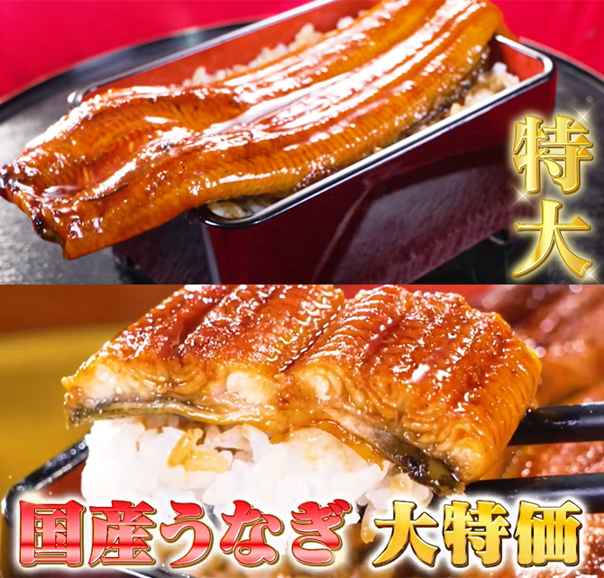 食べ応え抜群の鹿児島県産特大うなぎが大特価！