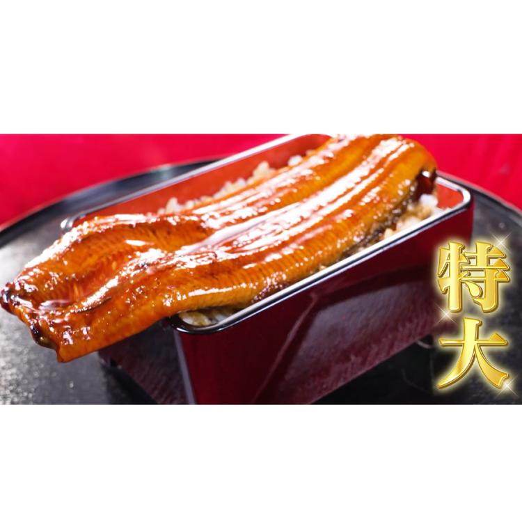 鹿児島県産うなぎ長焼き 特大サイズ／190g×3尾 計570g | TBS