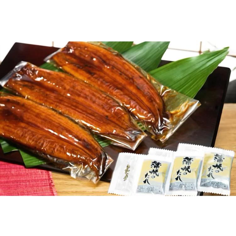 大特価　数量限定　鹿児島県産　蒲焼６尾 全6回定期便】薩摩大とろ鰻蒲焼特大サイズ一尾｜鹿児島市