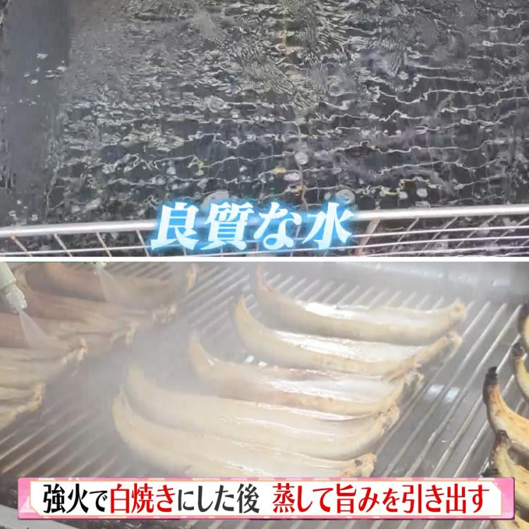 贈答用】鹿児島県産 うなぎ長焼き／120g×3尾 計360g | TBSショッピング