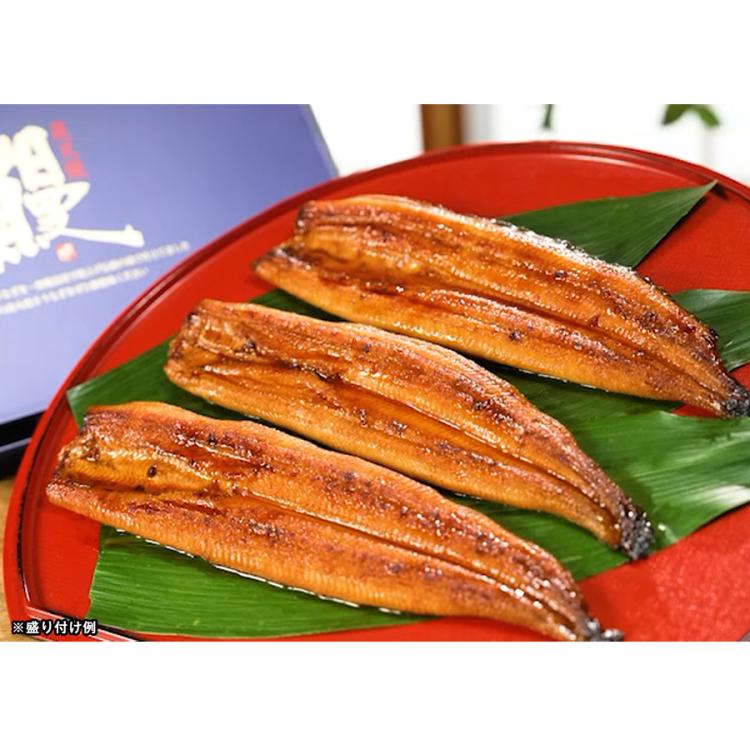 贈答用】鹿児島県産 うなぎ長焼き／120g×3尾 計360g | TBS