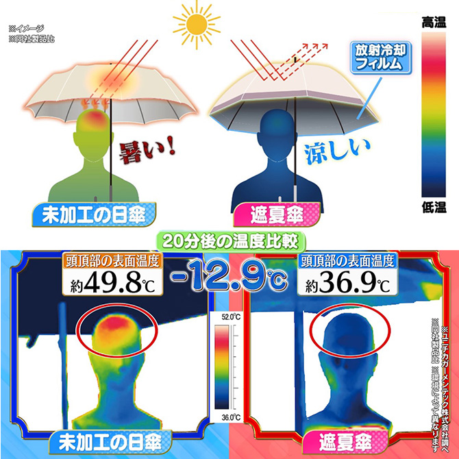 体感マイナス約10℃