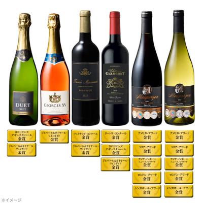 豪華!全て金賞!赤・白・スパークリング6本セット 豪華!全て金賞!赤・白・スパークリング6本セット