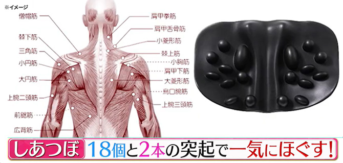 18個と2本の突起「しあつぼ」で
一気にほぐす※