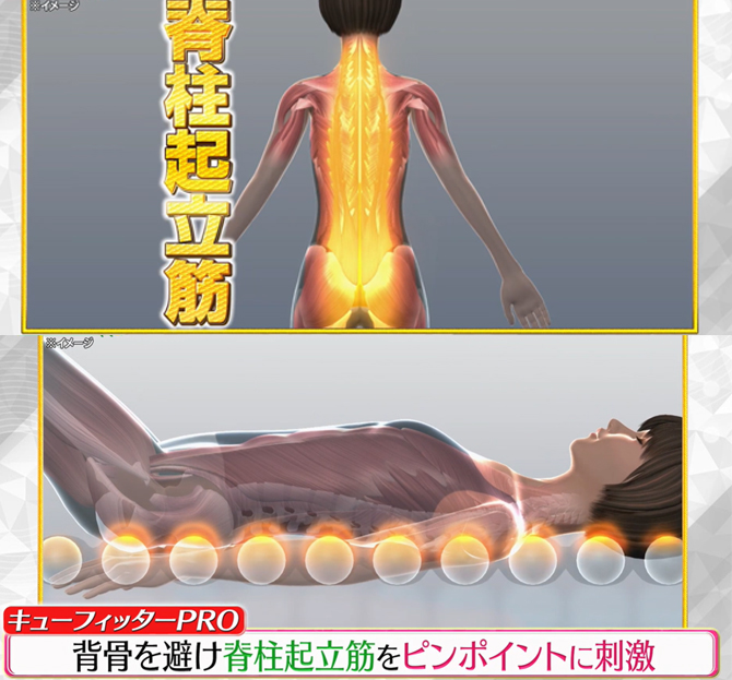 内蔵された20個のボールが背骨を避け
脊柱起立筋をピンポイントに刺激