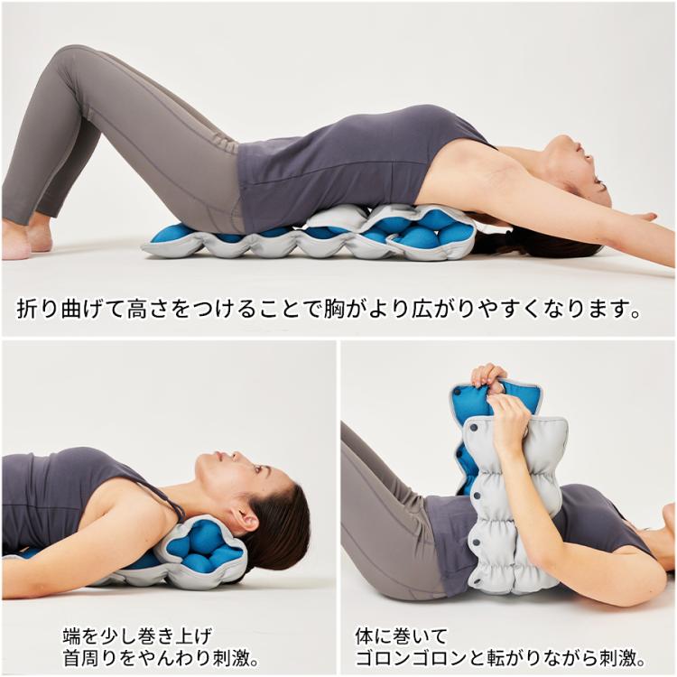 503567 ルネサンス　キューフィッターＰｒｏ キューフィッターPro|スポーツオアシス公式通販