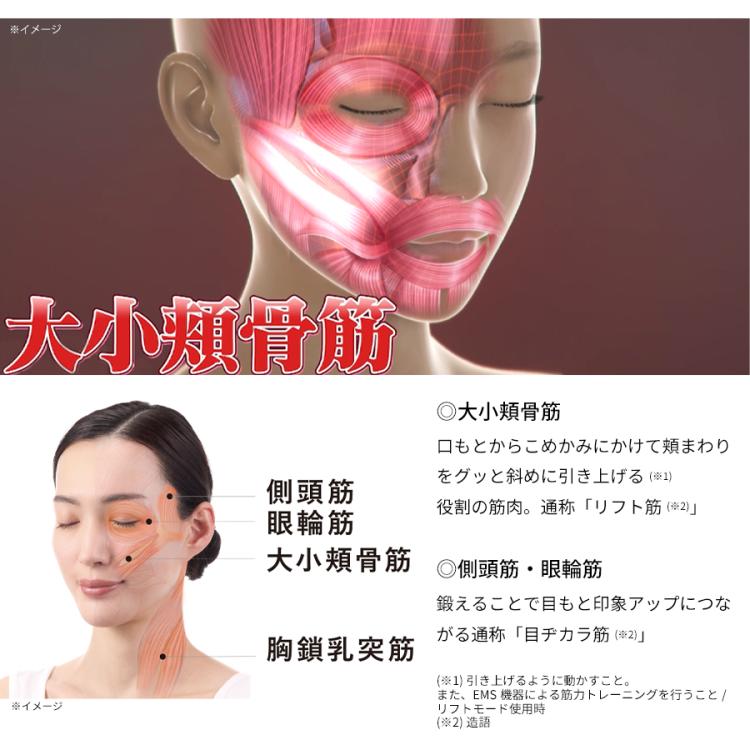 WAVY(ウェイビー) ニードルリフトポインター／YA-MAN(ヤーマン)／美顔