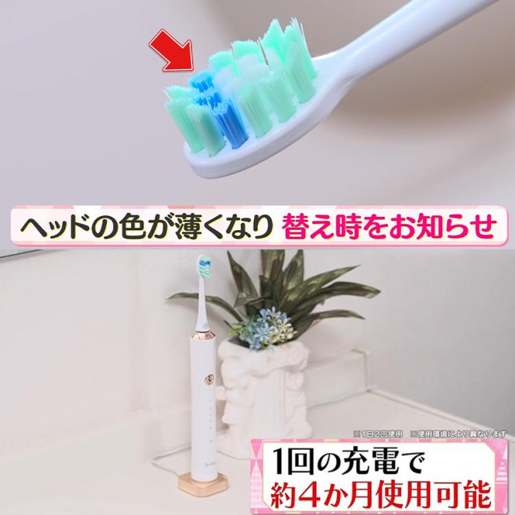 【即日発送】梓渝 USMILE電動歯ブラシセット 逆愛 RevengedLove 電動歯ブラシ SOOCAS NEOS II （ソーカスネオス2 )本体セット（ホワイト）