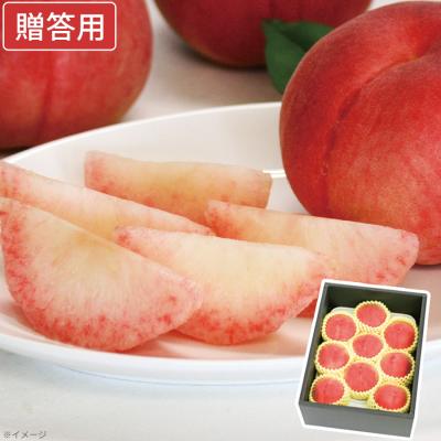 商品検索結果 | TBSショッピング