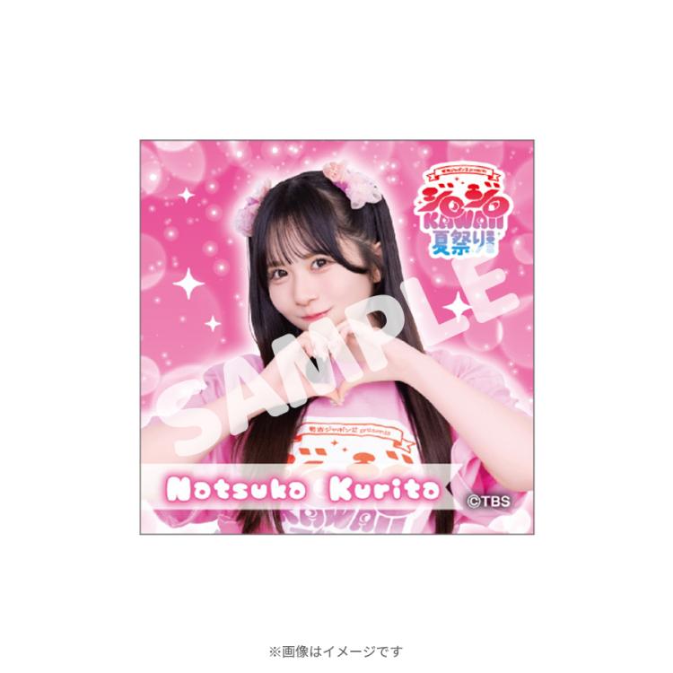有吉ジャポンll ジロジロKAWAII夏祭り2025 缶バッジ　14種セット 有吉ジャポンII presents ジロジロ KAWAII 夏祭り 2025