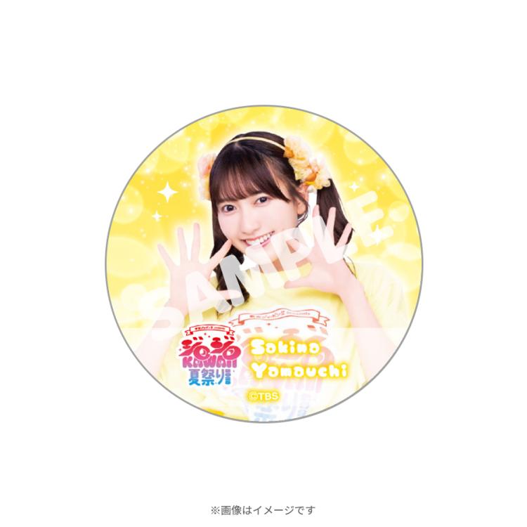 有吉ジャポンll ジロジロKAWAII夏祭り2025 缶バッジ　14種セット 有吉ジャポンII presents ジロジロ KAWAII 夏祭り 2025