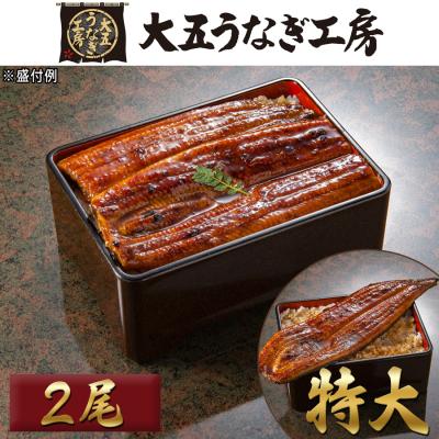 「山道養鰻」宮崎県産うなぎ 特大長蒲焼き/200g×2尾 計400g 「山道養鰻」宮崎県産うなぎ 特大長蒲焼き/200g×2尾 計400g