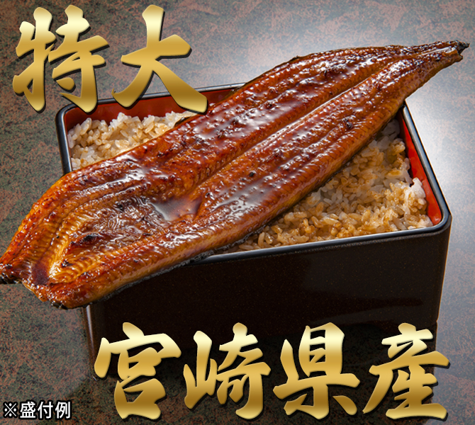 山道養鰻」宮崎県産うなぎ 特大長蒲焼き | TBSショッピング