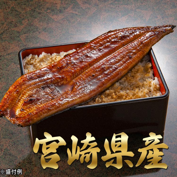 山道養鰻」宮崎県産うなぎ 特大長蒲焼き | TBSショッピング