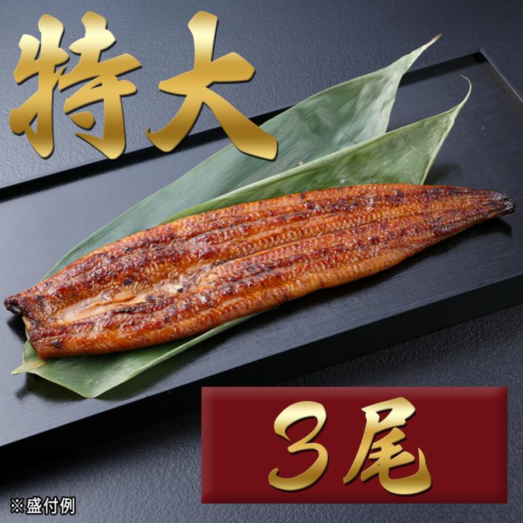 山道養鰻」宮崎県産うなぎ 特大長蒲焼き | TBSショッピング