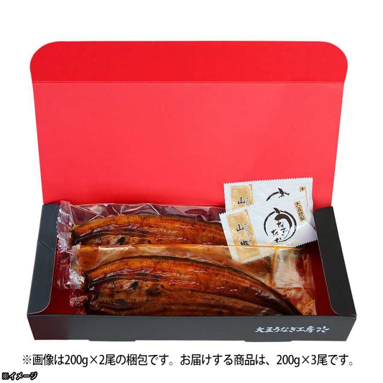 山道養鰻」宮崎県産うなぎ 特大長蒲焼き | TBSショッピング