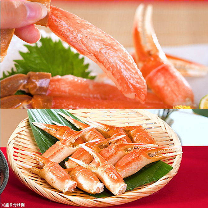＜12月＞生本ズワイガニむき身・ボイル本ズワイガニ爪肉セット