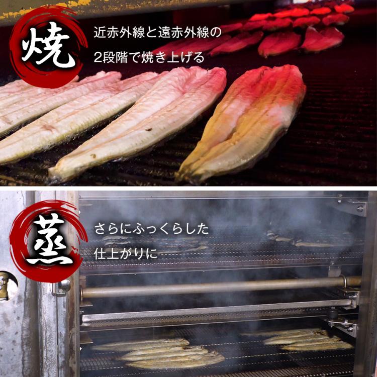 愛知県三河産 あつみ 特大うなぎ長焼き | TBSショッピング