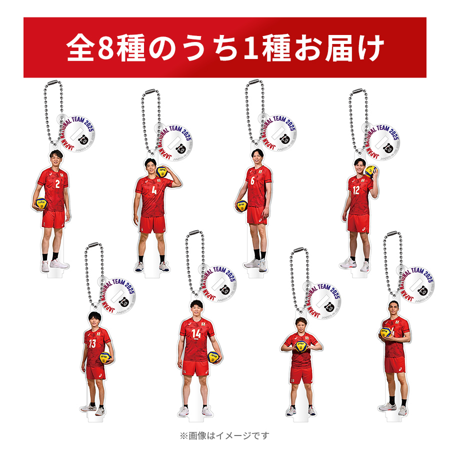 男子バレーキーホルダー別売り可 楽天市場】3連 キーホルダー バレーボール[鍵 カギ チャーム