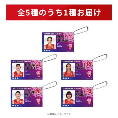 バレーボール ネーションズリーグ | TBSショッピング