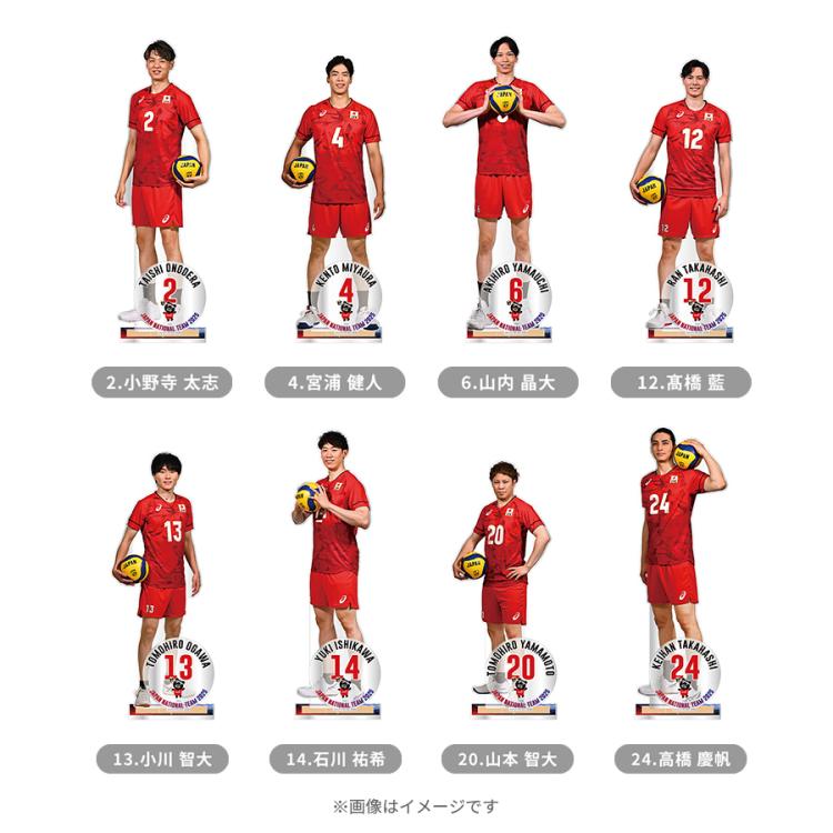 バレーボール　男子日本代表　2024アクリルスタンド　TBS コンプリートセット Amazon.co.jp: 高橋藍 アクリルスタンド バレーボール 男子 日本