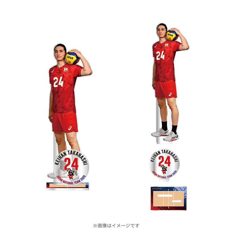未使用 ネーションズリーグ2024記念BIGアクリルスタンド 高橋藍2 カード付 未使用 ネーションズリーグ2024記念BIGアクリルスタンド 高橋藍2