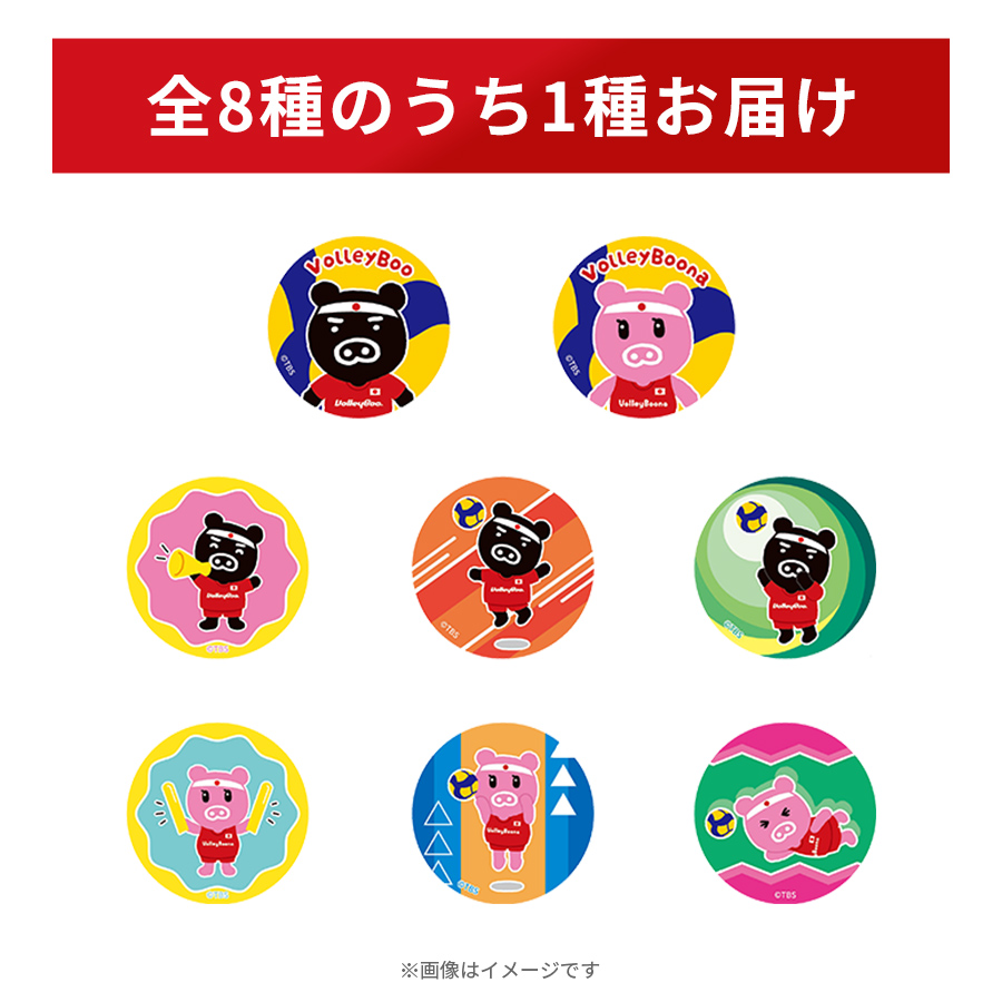 ネーションズリーグ2025記念／バレブー&バレブーナ トレーディング缶