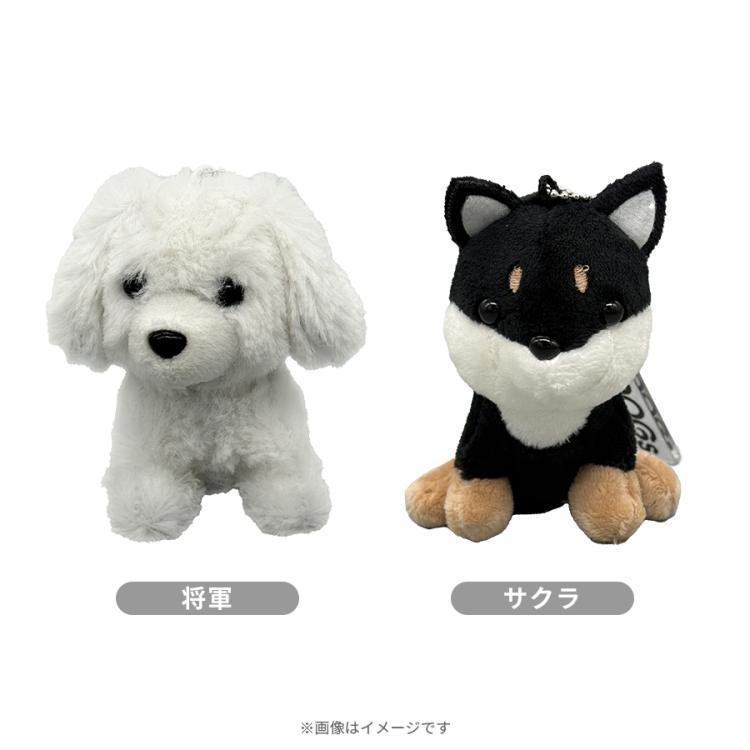火曜ドラマ『初恋DOGs』／マスコットキーホルダー | TBSショッピング