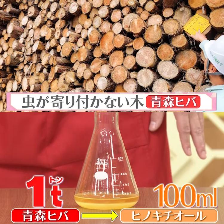 ヒバウッドプラス ボトル500ml+マイクロファイバークロス