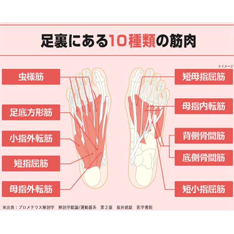 今 お得！】保阪尚希監修 フットエナジー プロ／足裏EMS